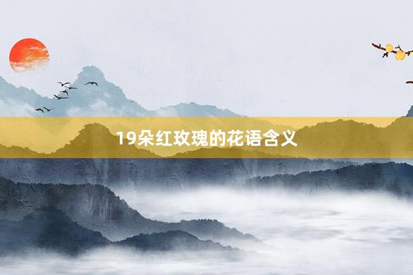 19朵红玫瑰的花语含义