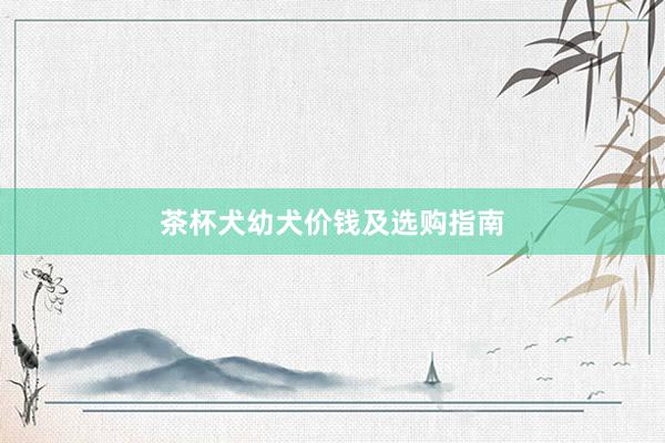 茶杯犬幼犬价钱及选购指南