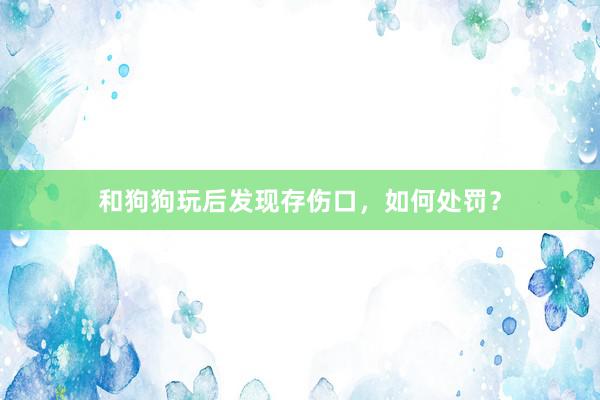 和狗狗玩后发现存伤口，如何处罚？